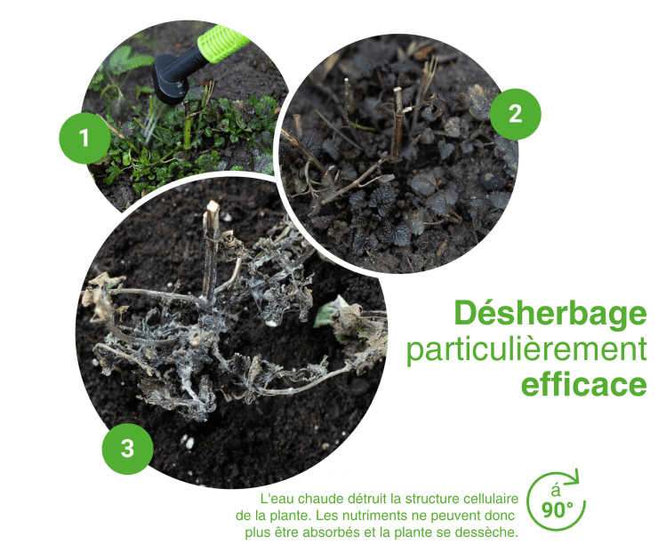 Unkrautfuchs – FoxOne inkl. Mikrofasertuch