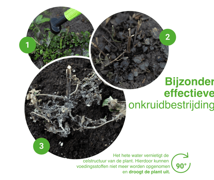Unkrautfuchs – FoxOne inkl. Mikrofasertuch